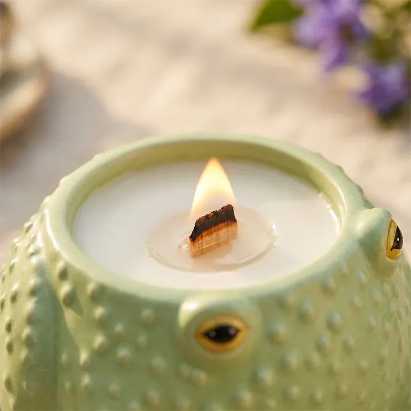 シリコーンキャンドルジャー型プリンスフロッグ石膏 DIY 手 - Candle Mold Silicone のレビューと価格