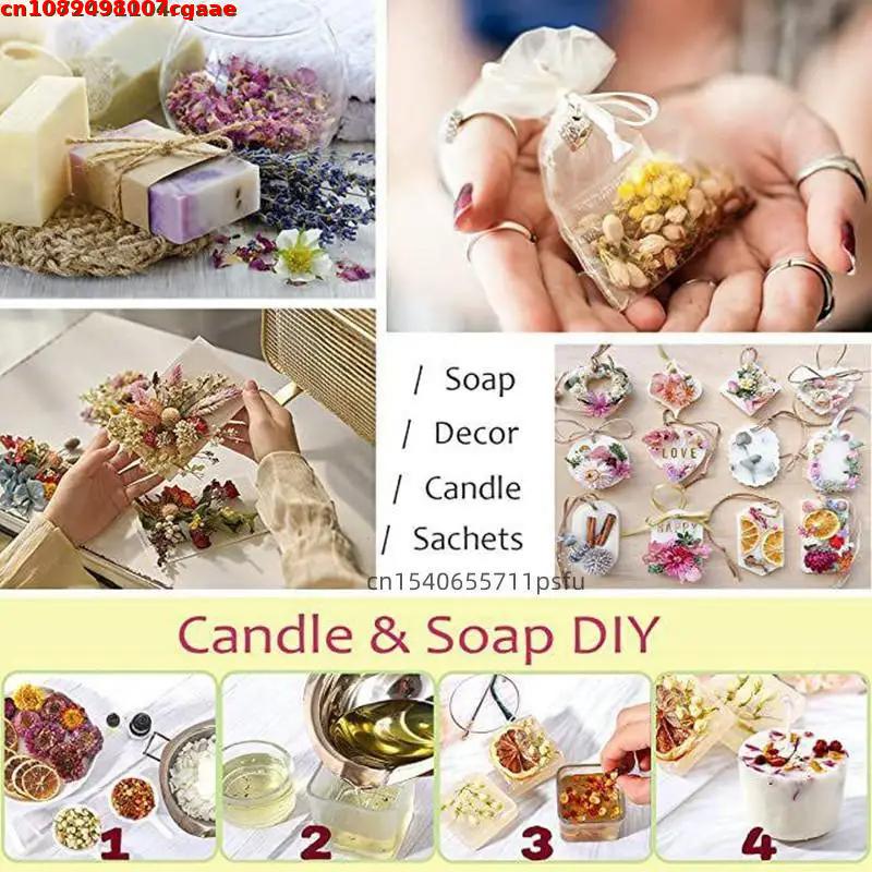 高品質の魔女初心者向け天然ドライフラワー ウィッカ、ウィッカ - Candle Making For Beginners のレビューと価格